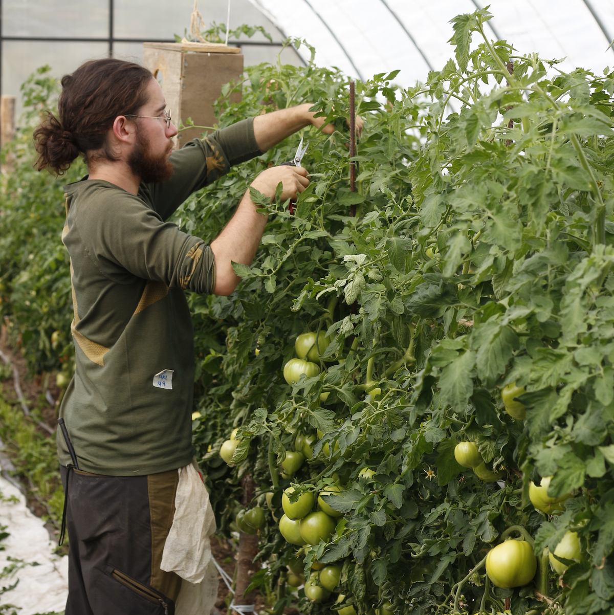 El Micro Huerto Comercial >>ON SALE<<