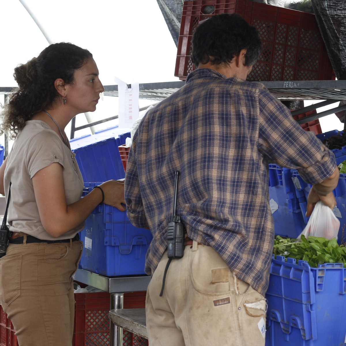 El Micro Huerto Comercial >>ON SALE<<