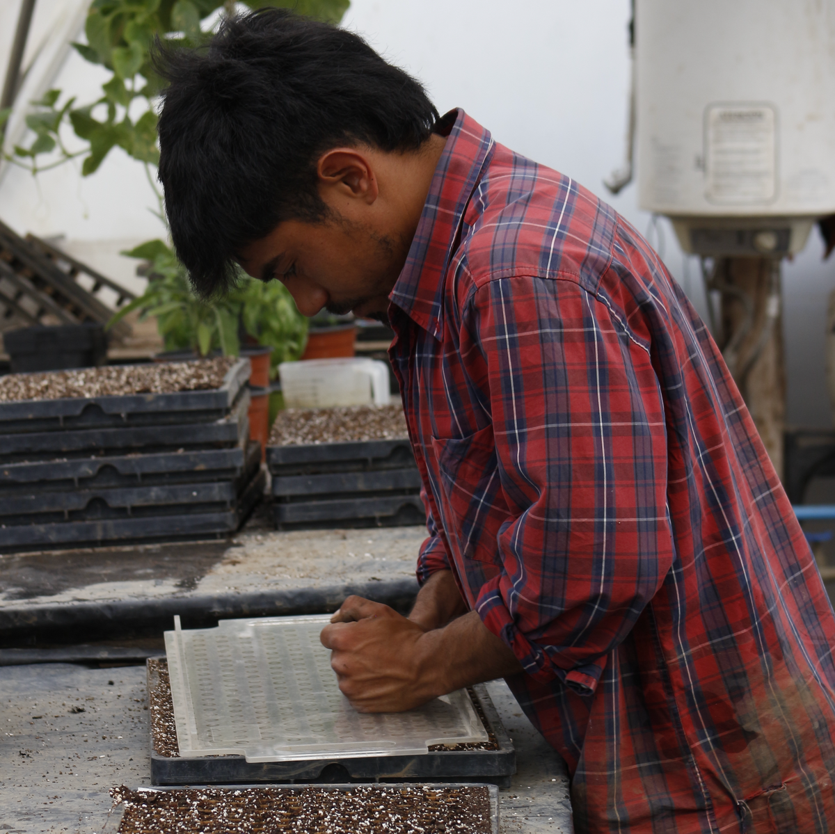 El Micro Huerto Comercial >>ON SALE<<