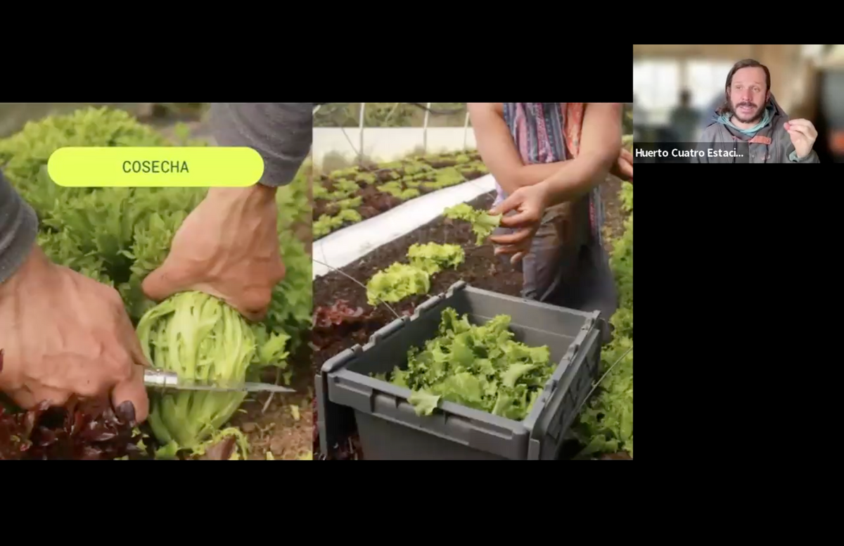 El Micro Huerto Comercial >>ON SALE<<