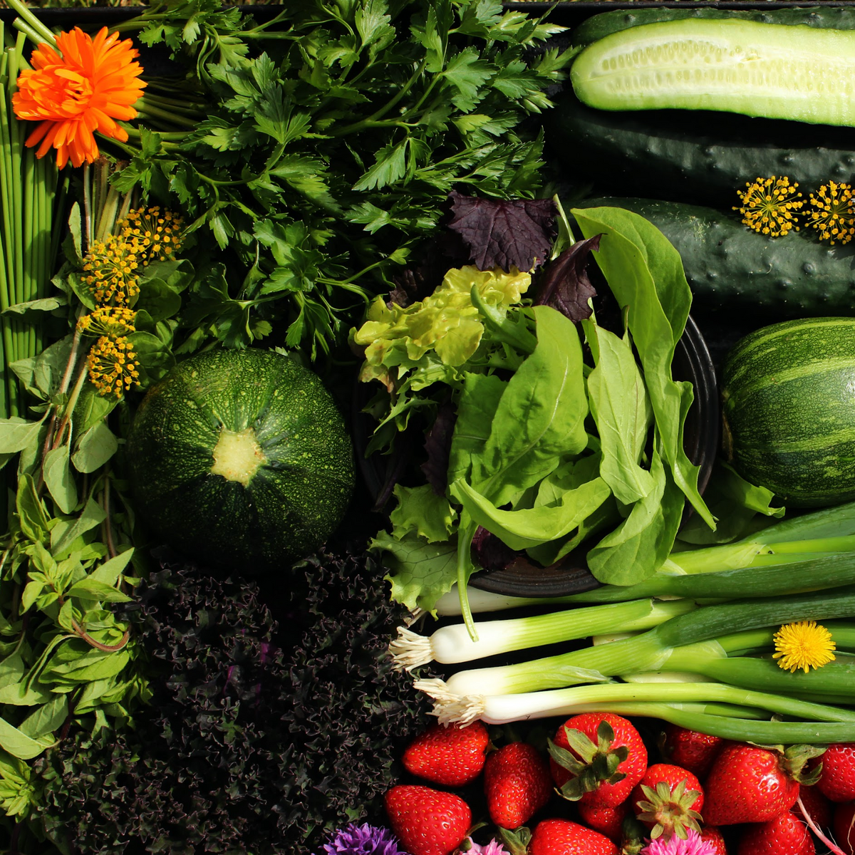 Membresía Individual Noviembre $22.600 por semana