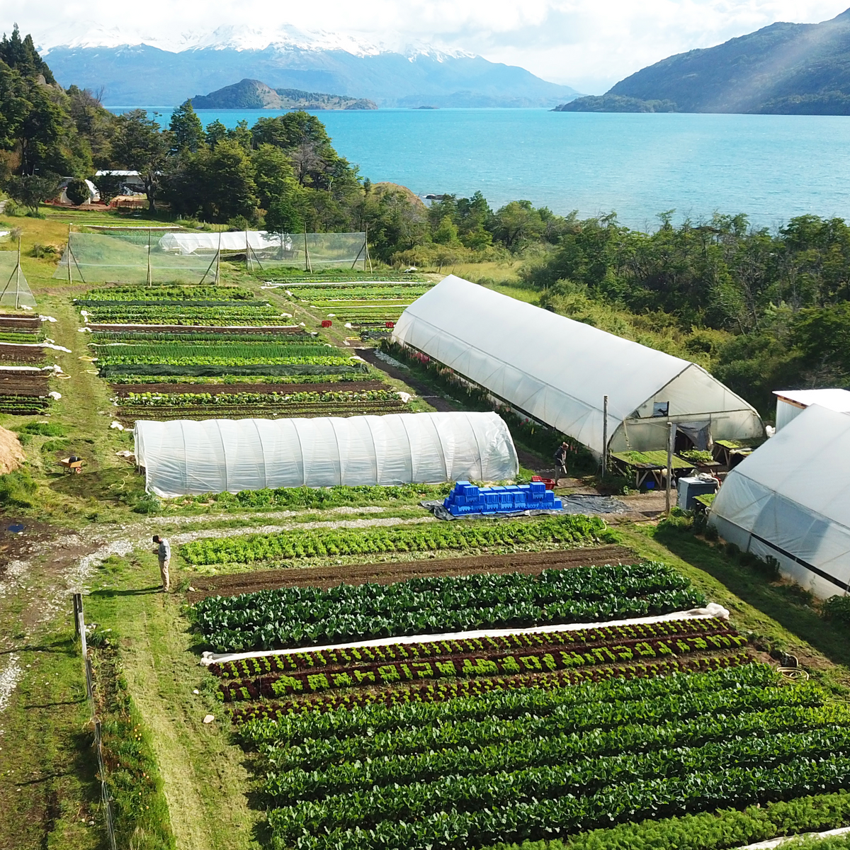 Entrenamiento en Market Gardening