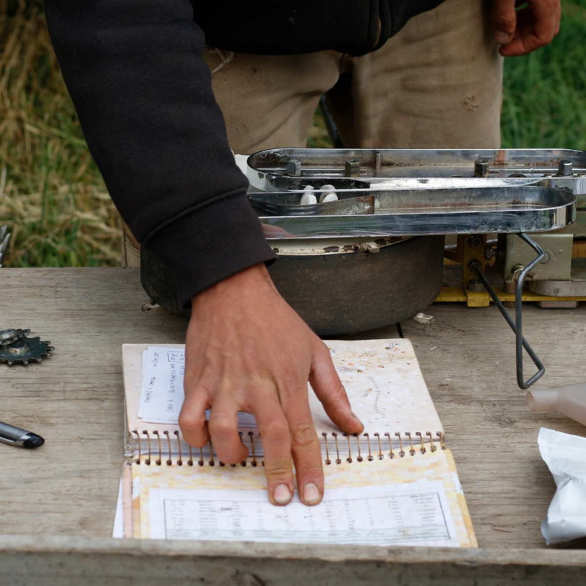 Entrenamiento en Market Gardening