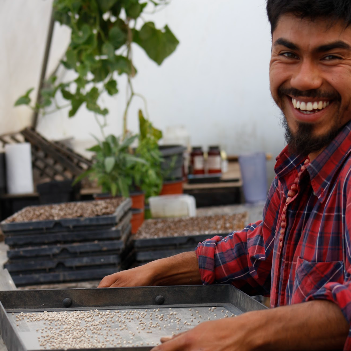 Entrenamiento en Market Gardening