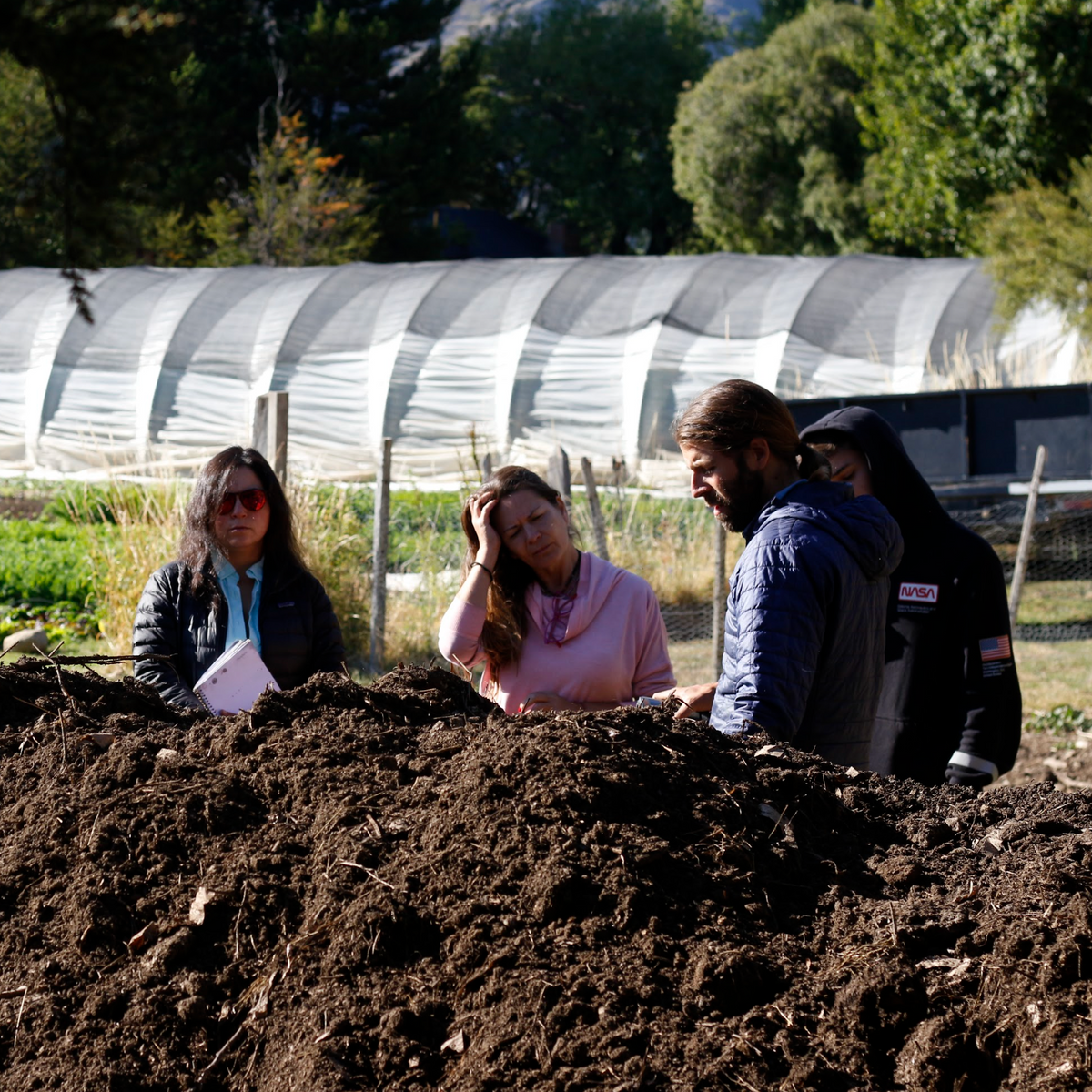 Entrenamiento en Market Gardening
