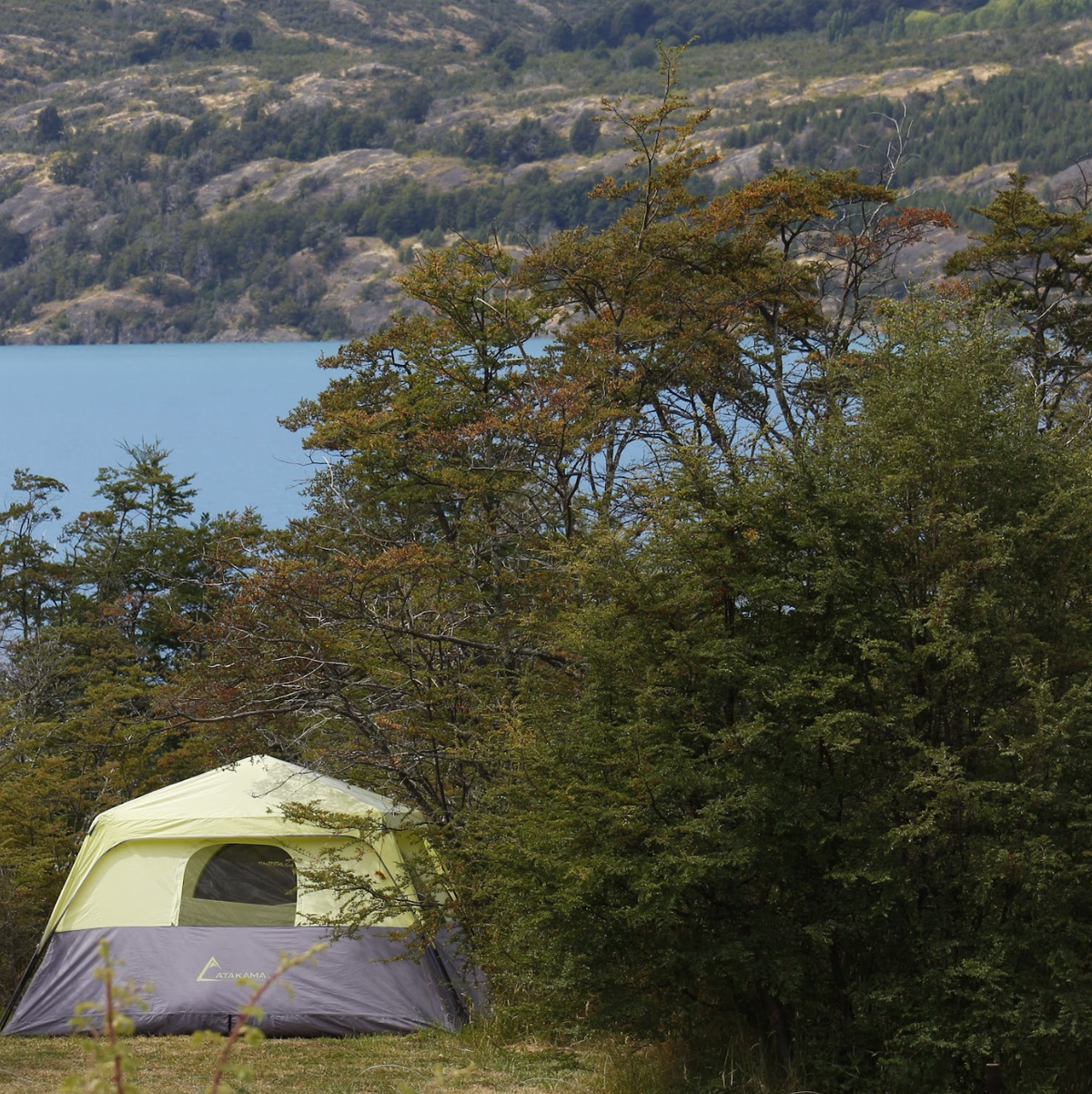 Entrenamiento en Market Gardening
