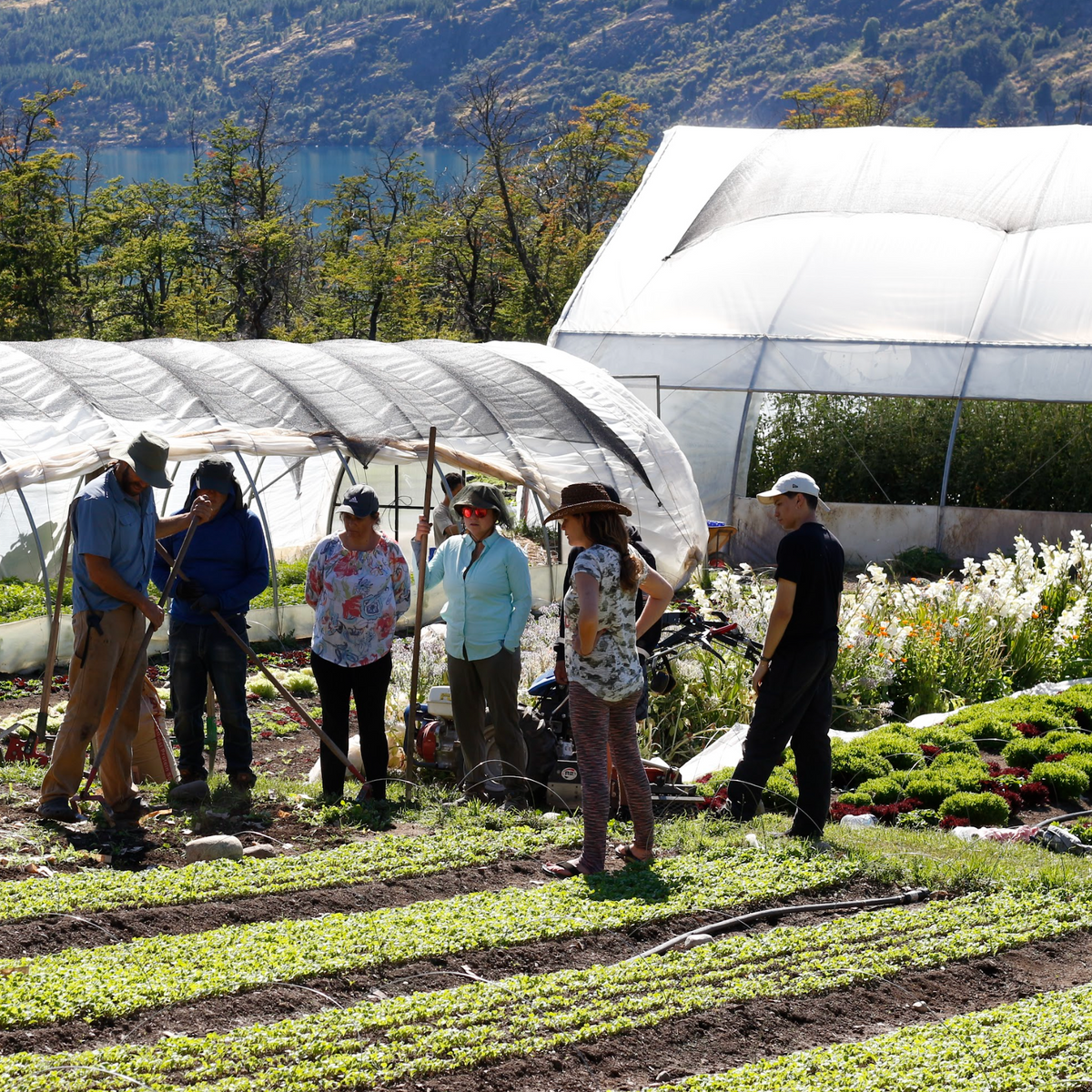 Entrenamiento en Market Gardening