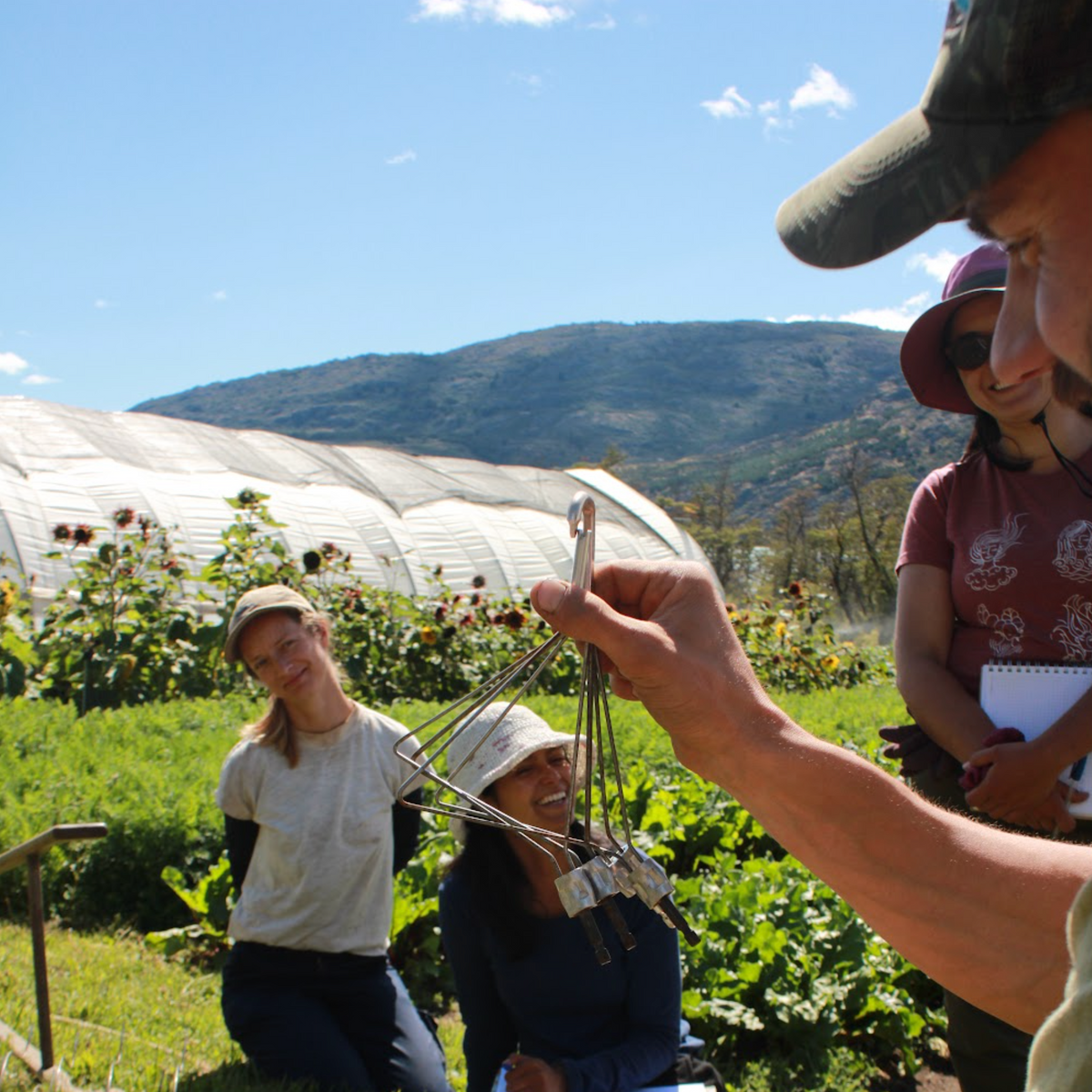 Entrenamiento en Market Gardening