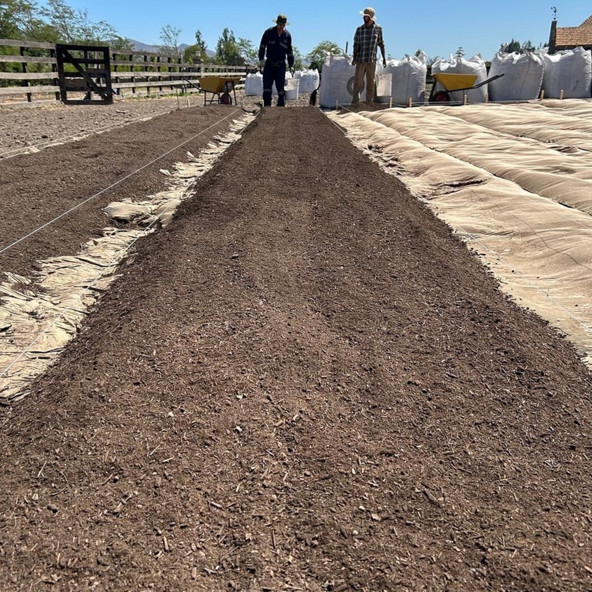 Workshop de Market Gardening y Permacultura
