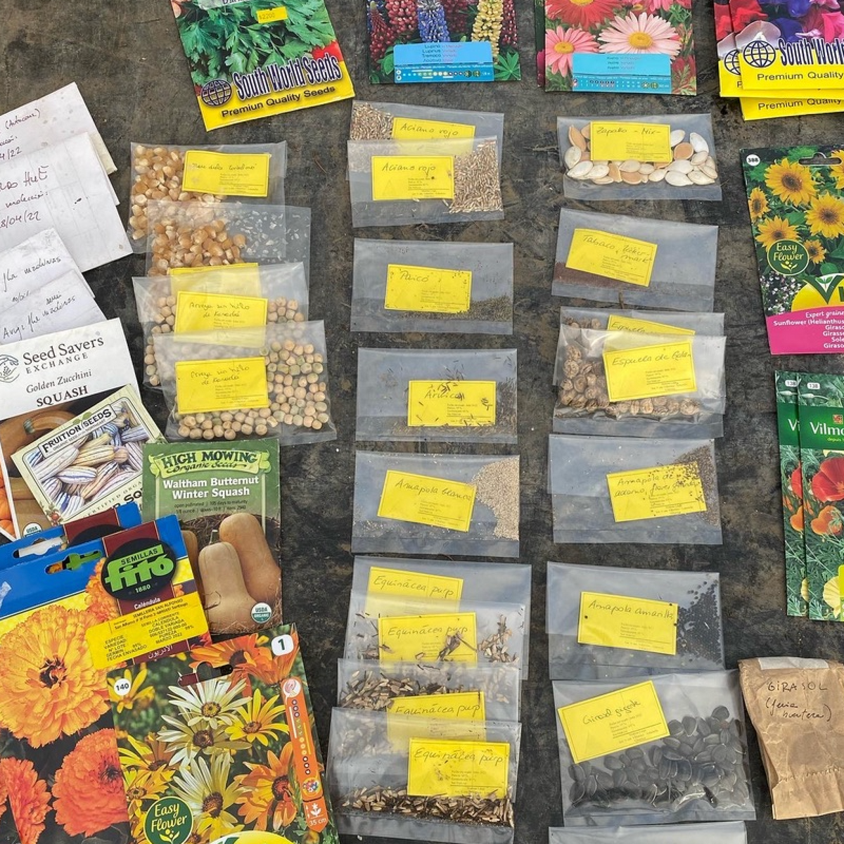 Workshop de Market Gardening y Permacultura