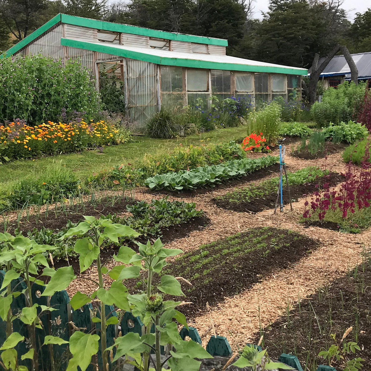 Workshop de Market Gardening y Permacultura