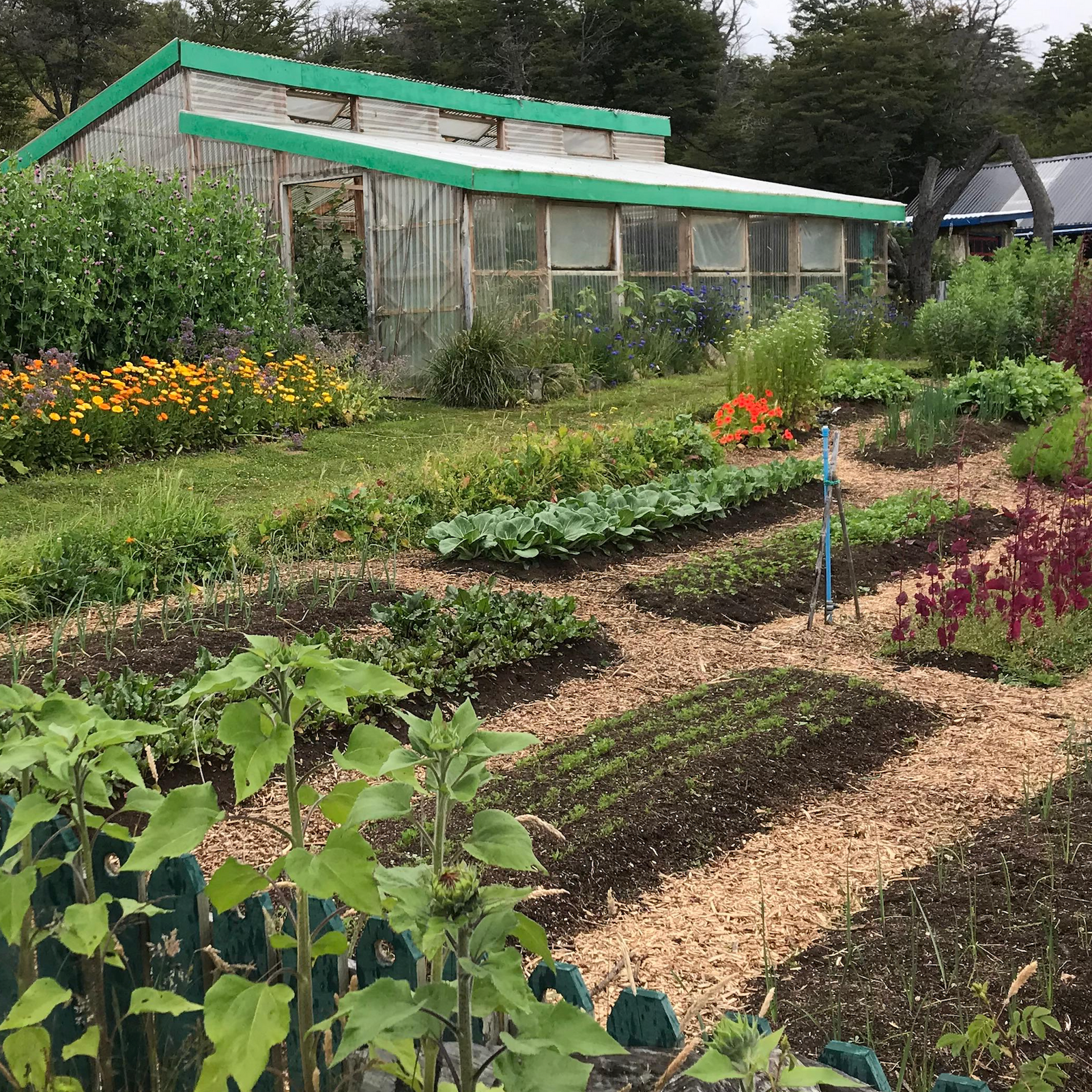 Workshop de Market Gardening y Permacultura