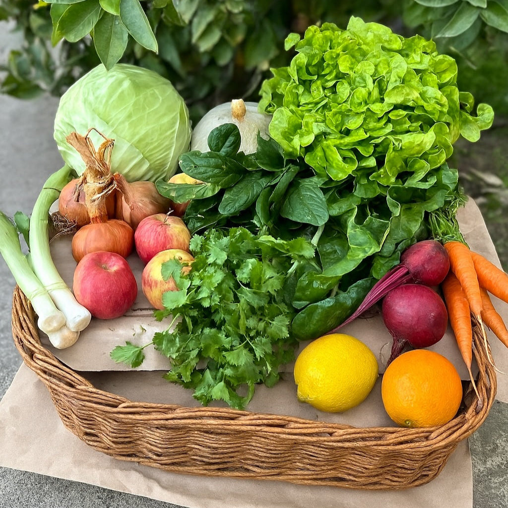 Membresía Individual Temporada Completa $24.900 por semana