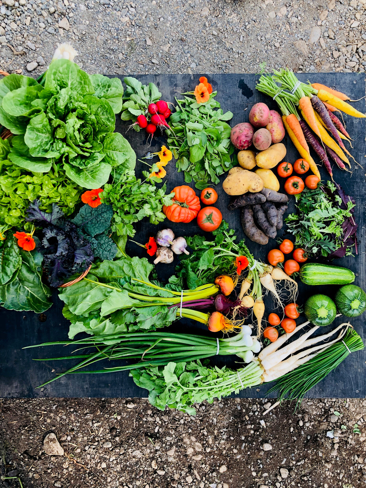 Membresía Familiar Noviembre $31.500 por semana