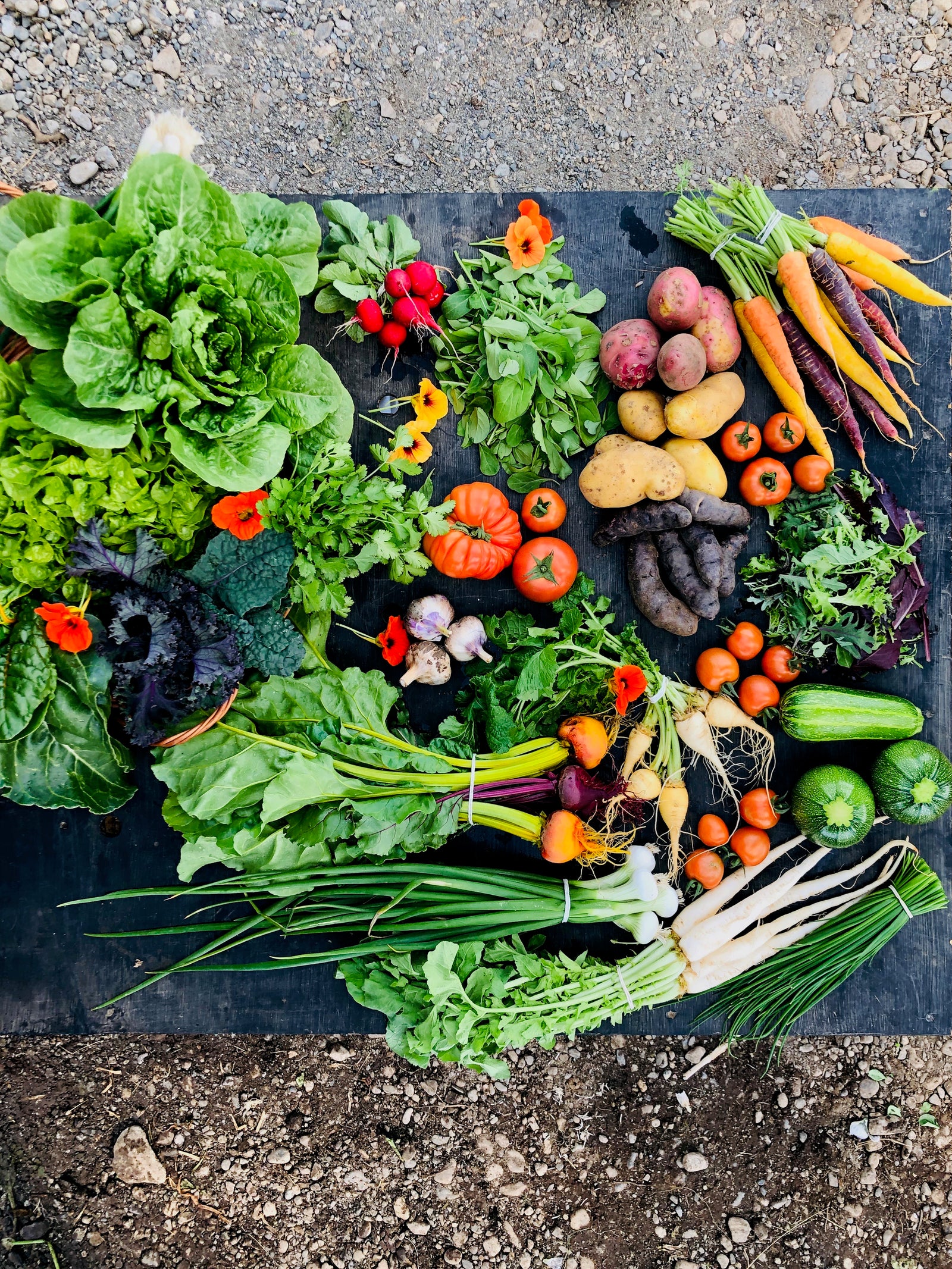 Membresía Familiar Noviembre $31.500 por semana