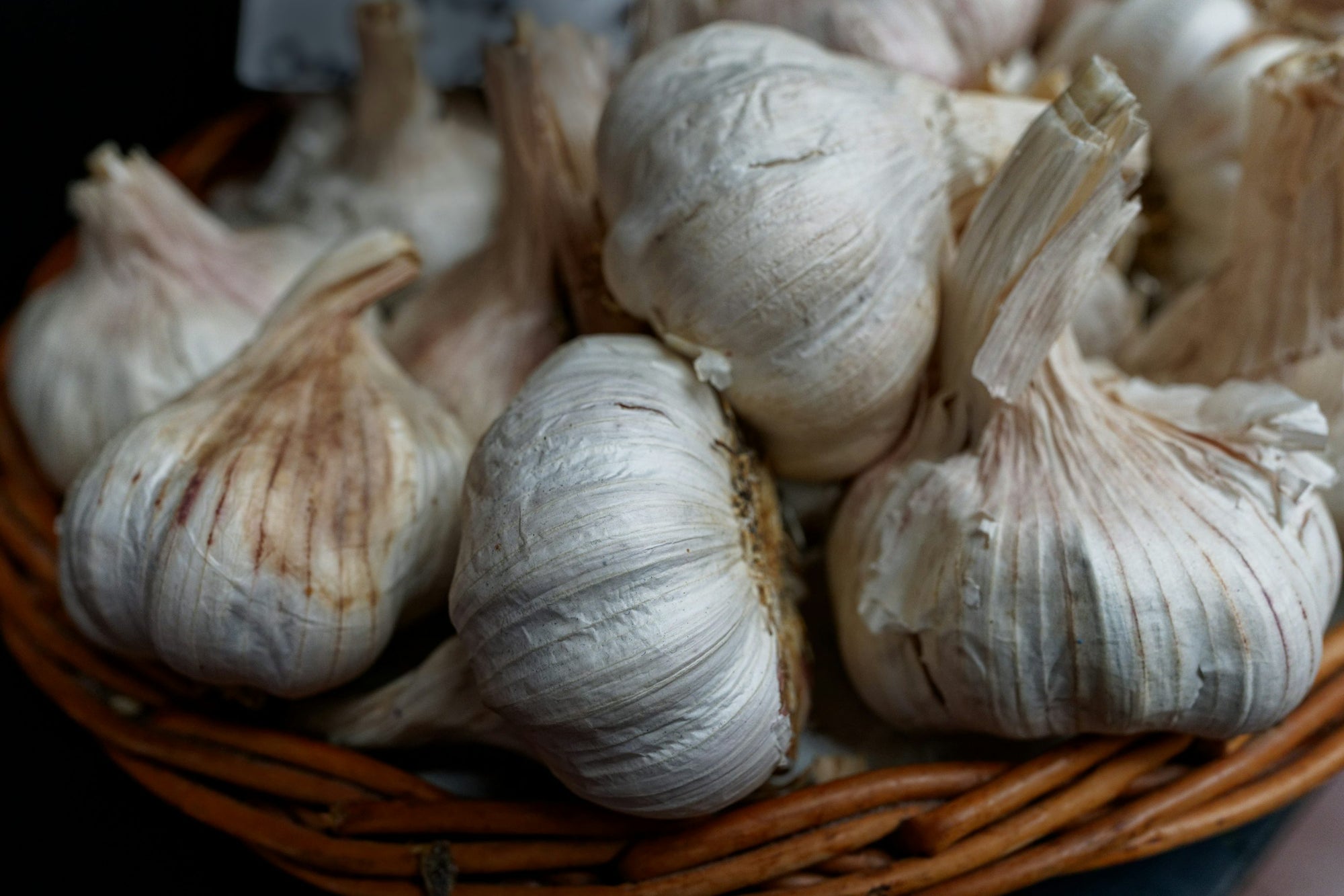 Ajo (cabeza)