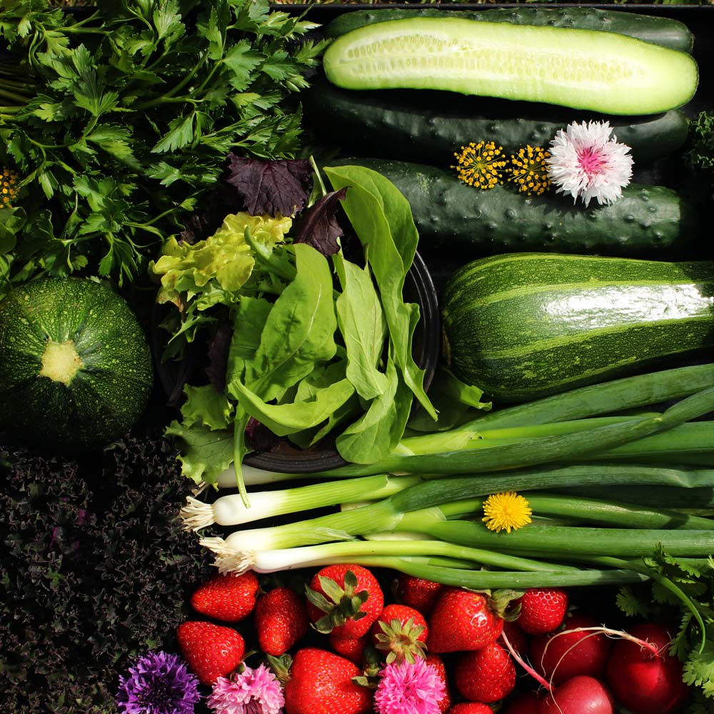 Membresía Familiar Temporada Completa $31.500 por semana