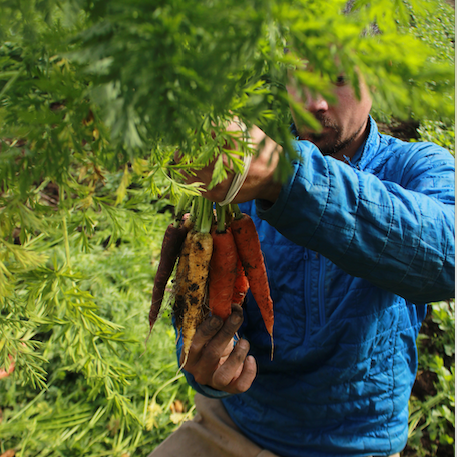 Membresía Individual Noviembre $22.600 por semana