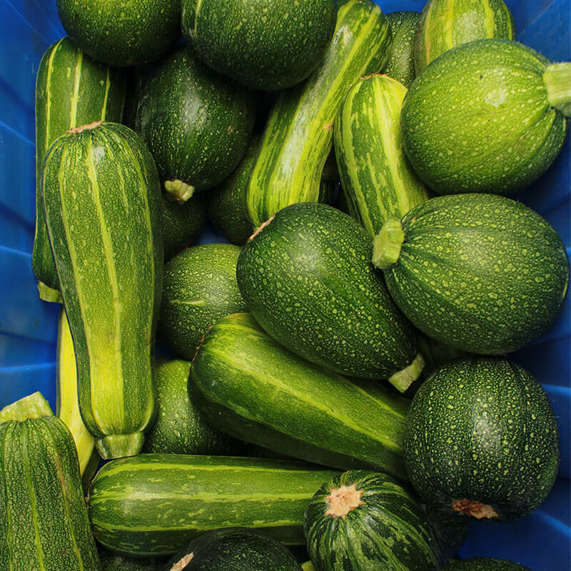 Zucchini (unidad de +/- 400 g)